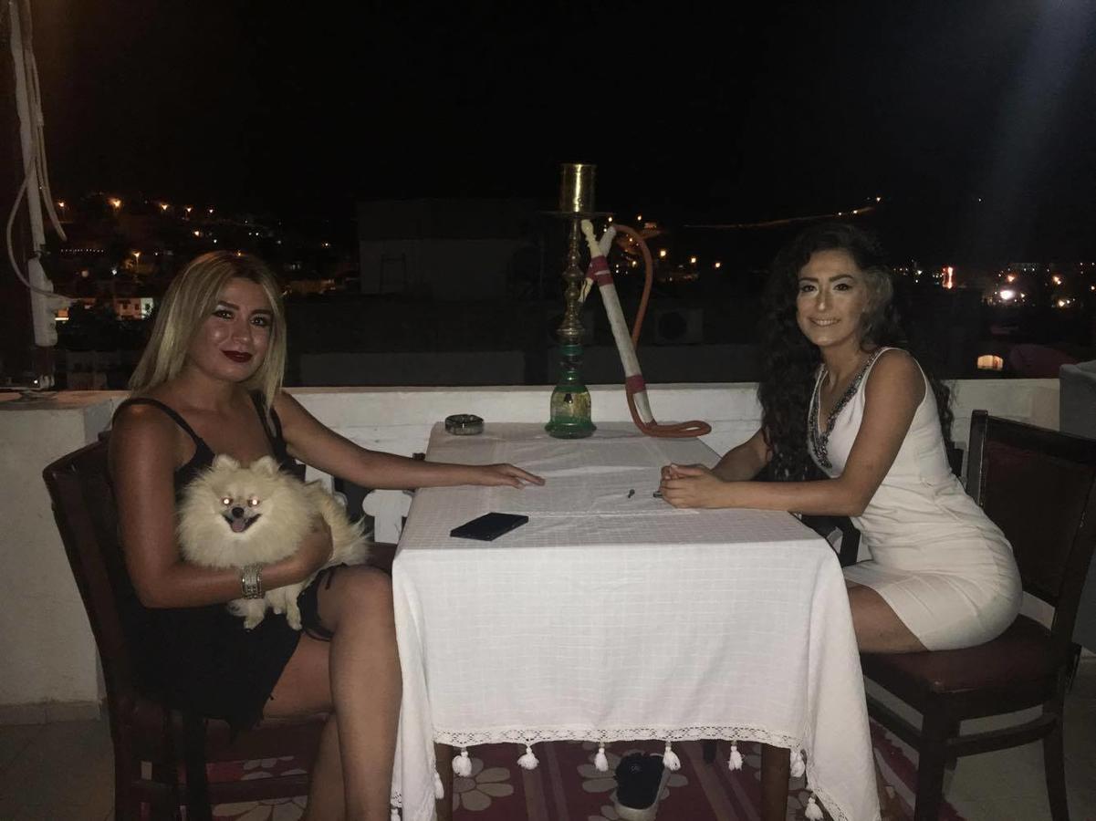 فندق ميرفي بارك بيتيس المظهر الخارجي الصورة